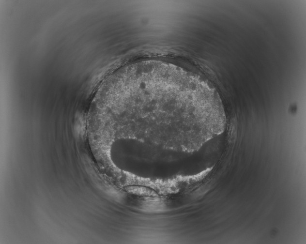 X0000114720335200912021200