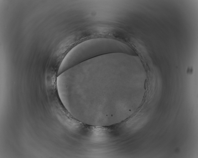 X0000114720336200912021200