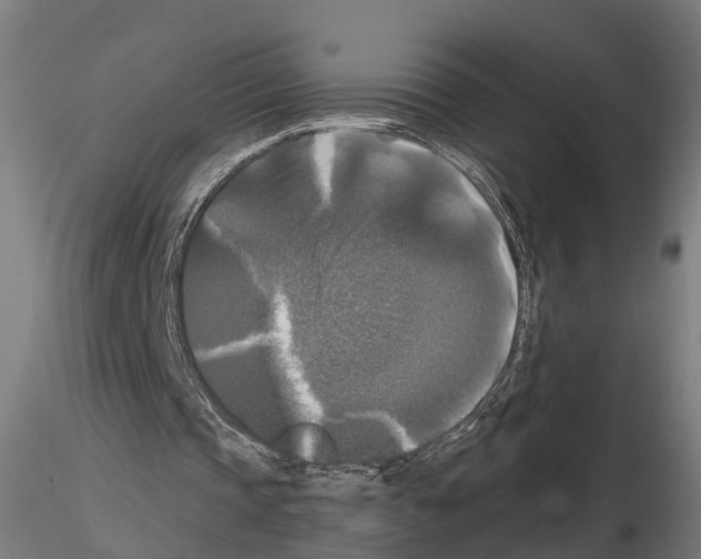 X0000114720337200912021200