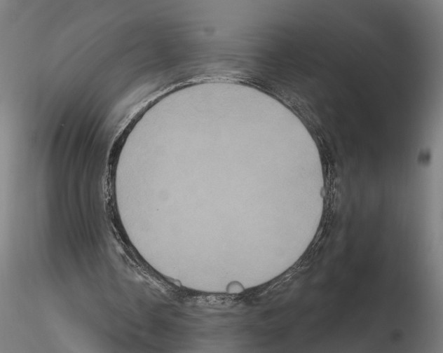 X0000114720338200912021200