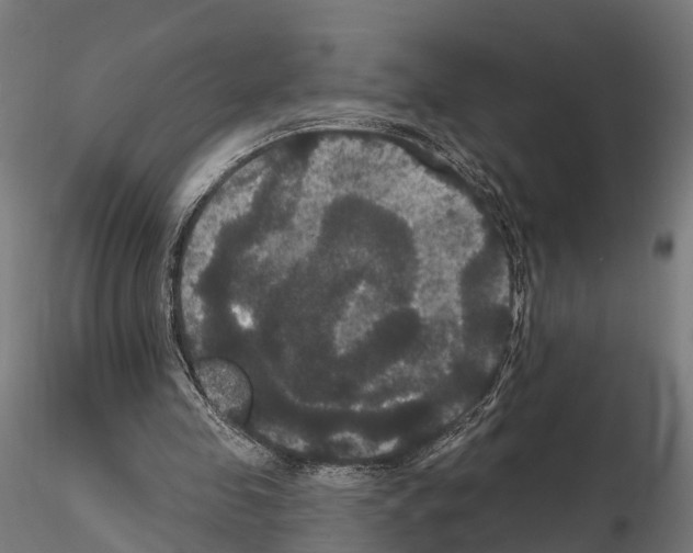 X0000114720341200912021200