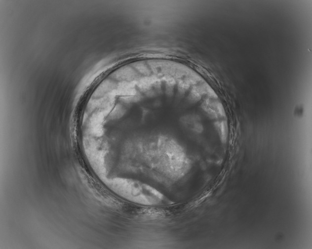 X0000114720343200912021200