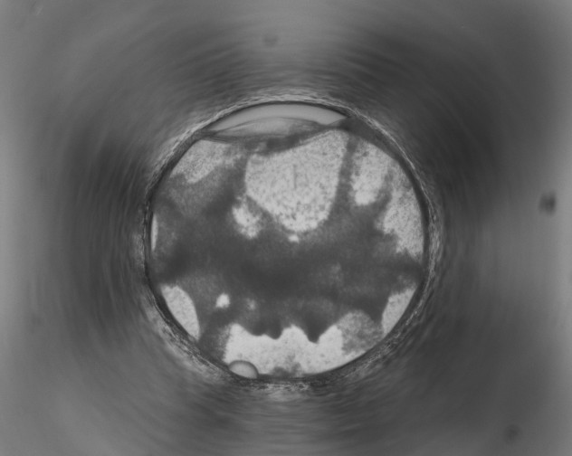 X0000114720345200912021200