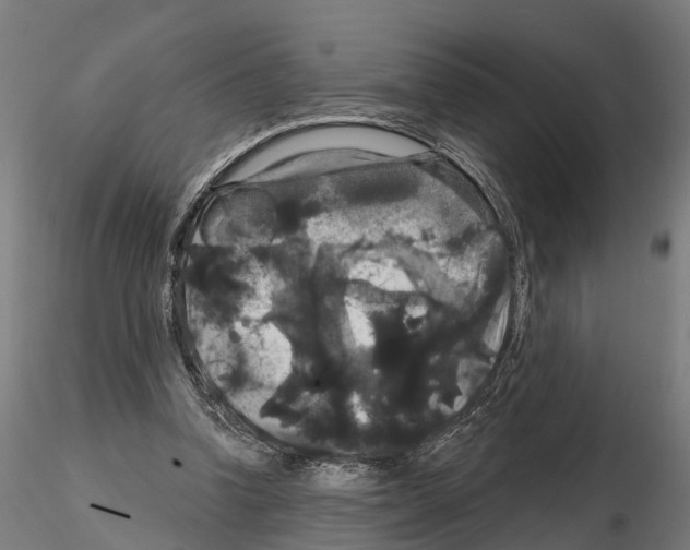 X0000114720346200912021200