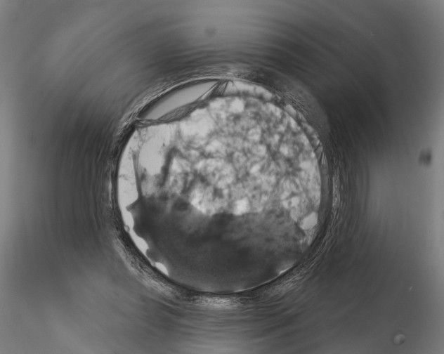 X0000114720349200912021200