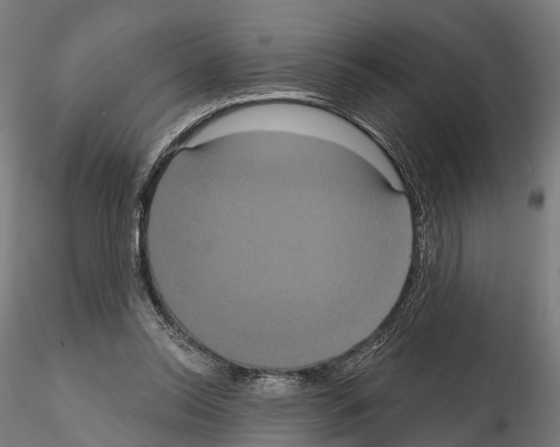 X0000114720350200912021200