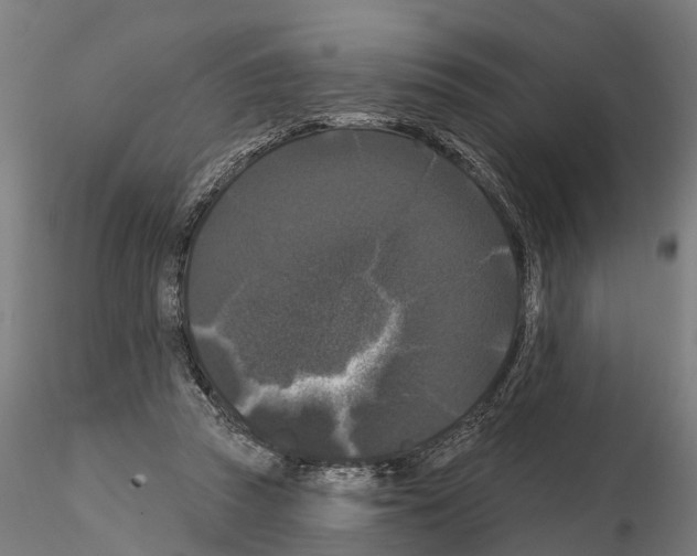 X0000114720353200912021200