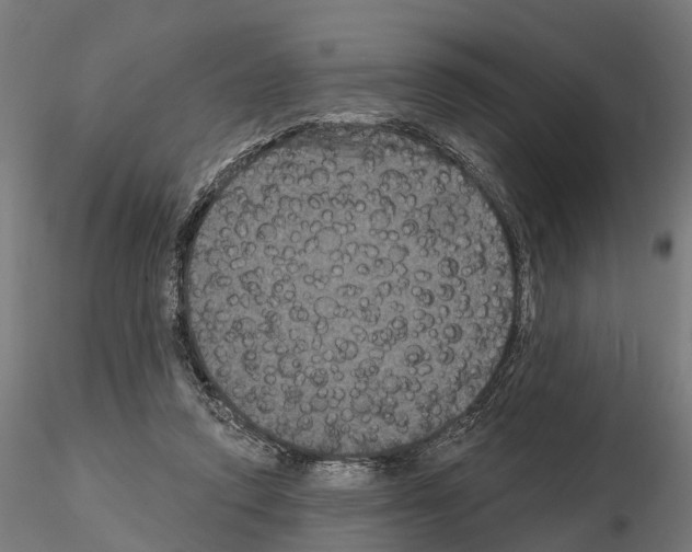 X0000114720354200912021200