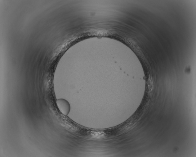 X0000114720355200912021200