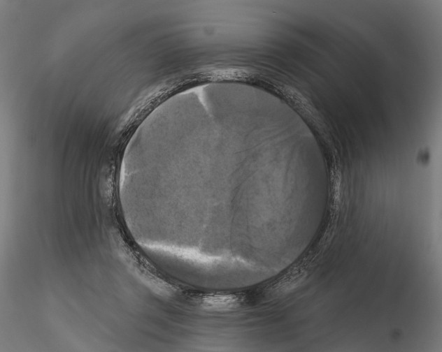 X0000114720357200912021200