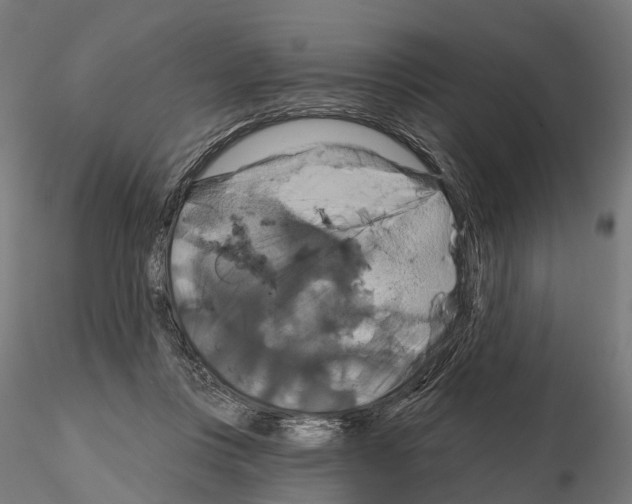 X0000114720359200912021200