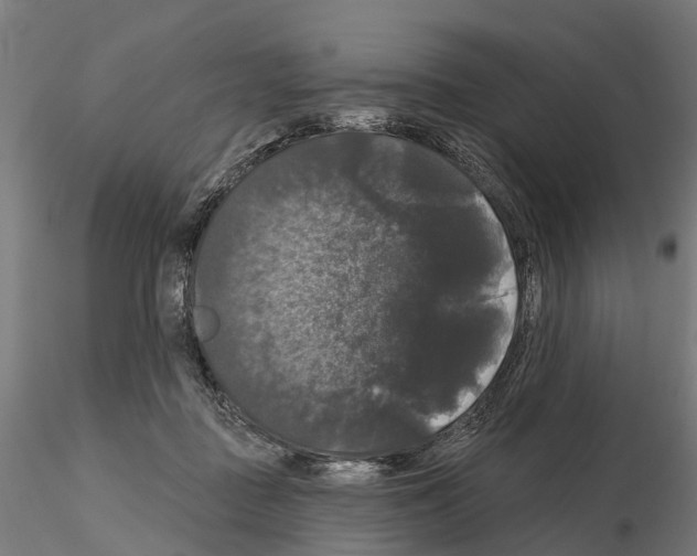 X0000114720363200912021200