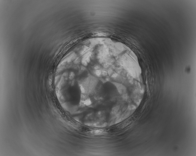 X0000114720365200912021200