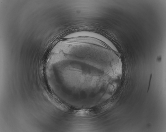 X0000114720366200912021200