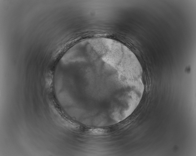 X0000114720367200912021200