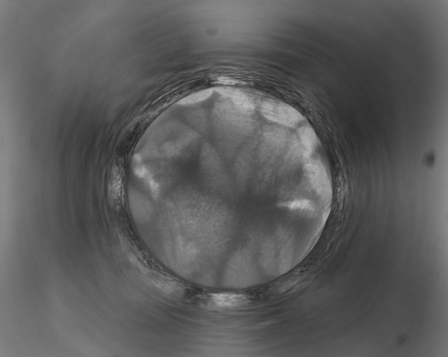 X0000114720371200912021200