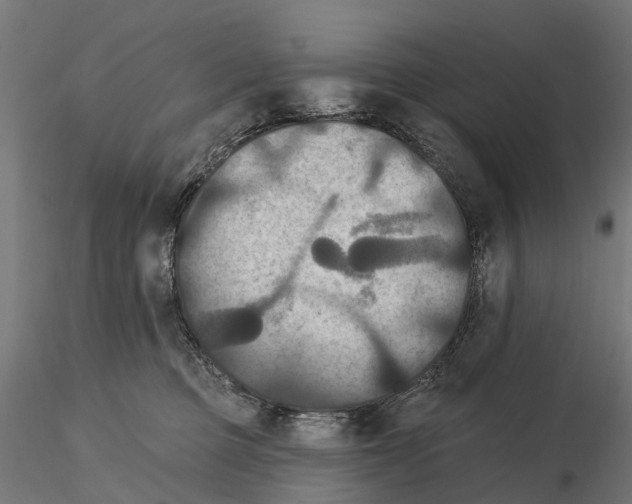 X0000114720373200912021200