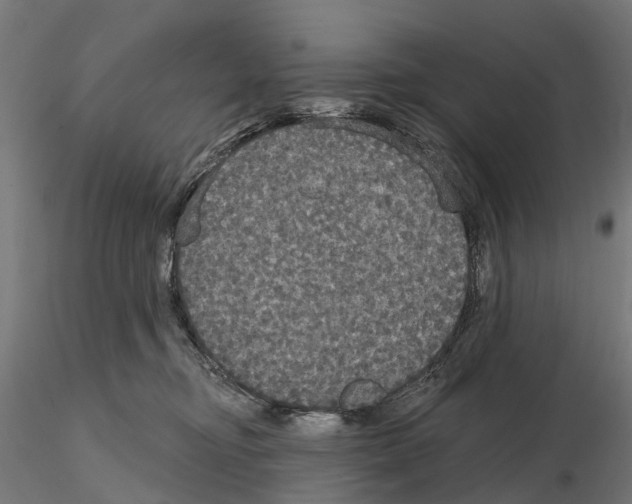 X0000114720374200912021200