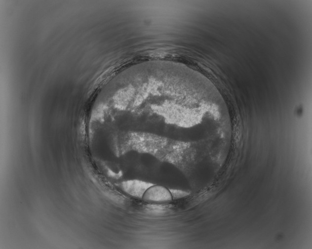 X0000114720375200912021200