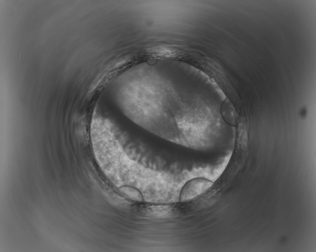 X0000114720377200912021200