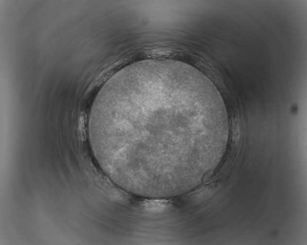 X0000114720378200912021200