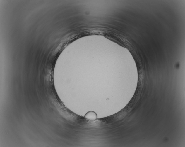 X0000114720379200912021200