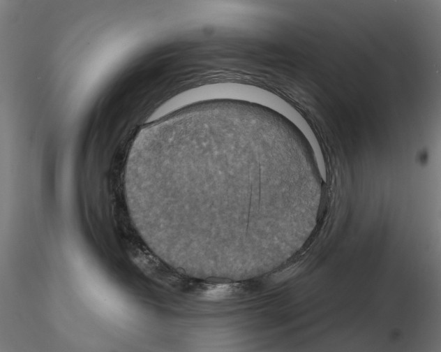 X0000114720382200912021200