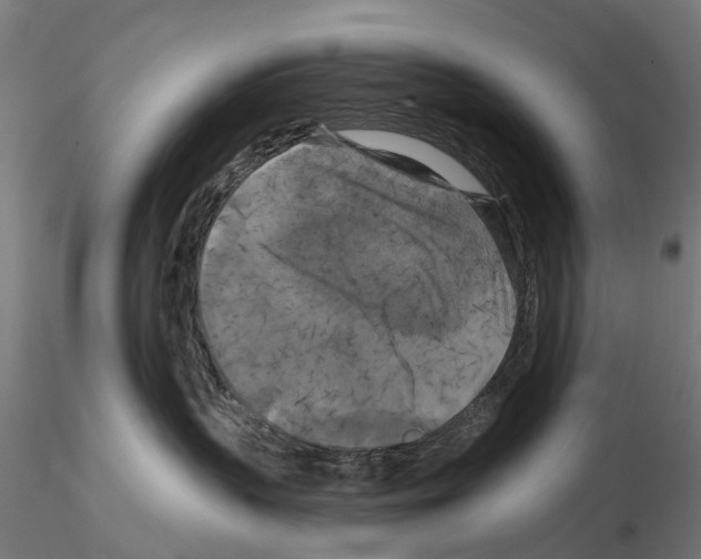 X0000114720383200912021200