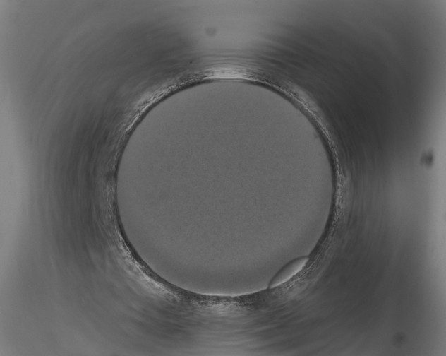 X0000114720385200912021200