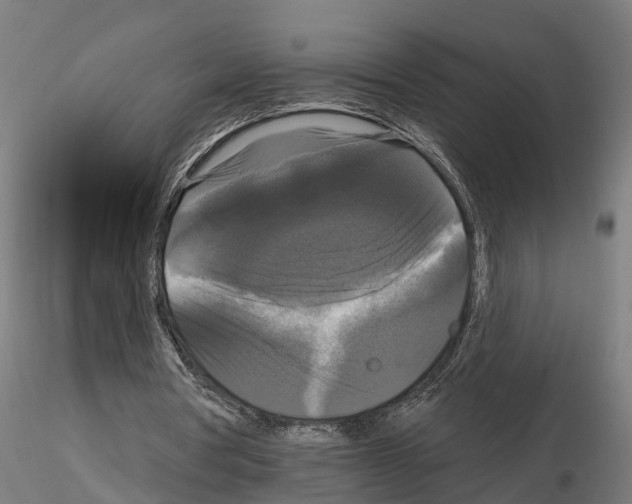 X0000114720386200912021200