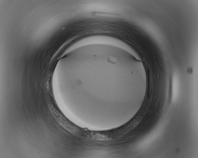 X0000114720387200912021200