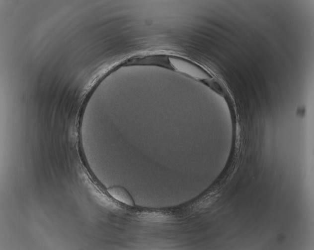 X0000114720389200912021200