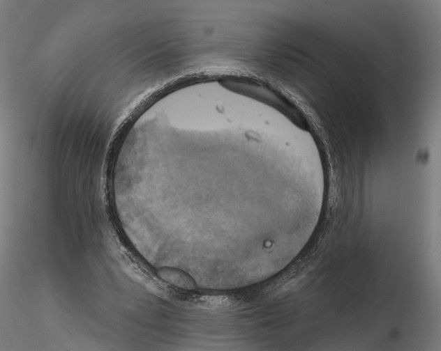 X0000114720391200912021159