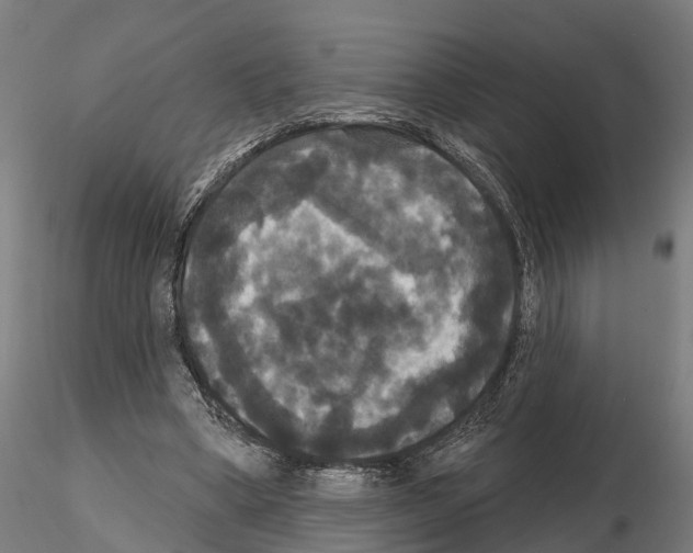 X0000114720394200912021159