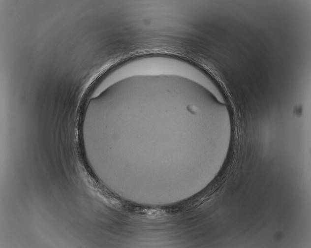 X0000114720395200912021159