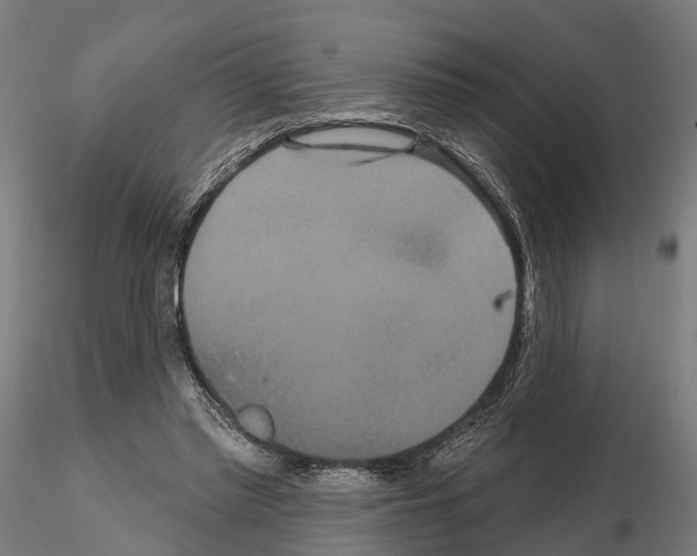 X0000114720397200912021159