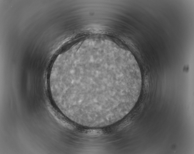 X0000114720398200912021159