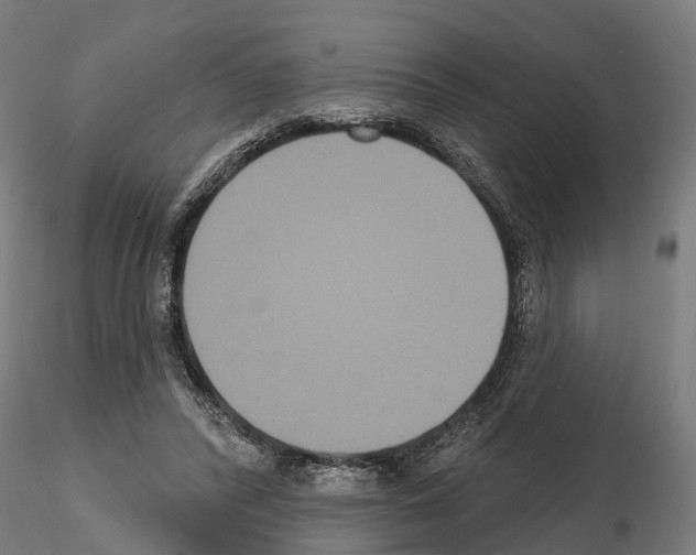 X0000114720400200912021159