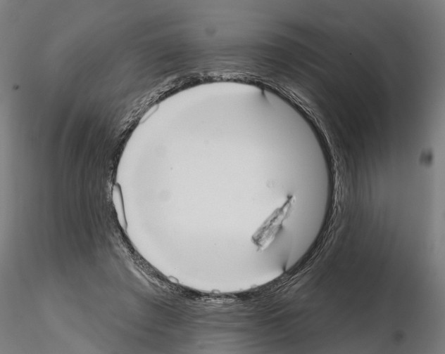 X0000114720401200912021159