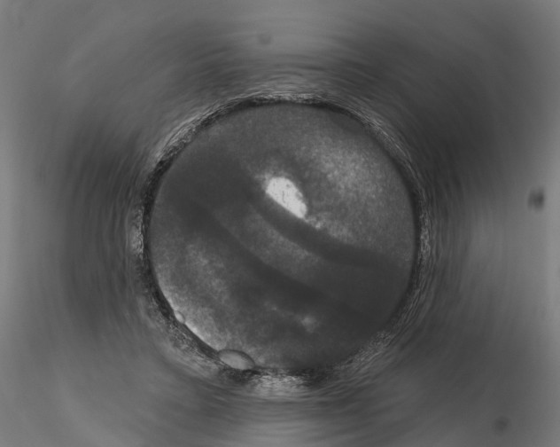 X0000114720403200912021159