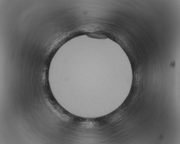 X0000114720404200912021159