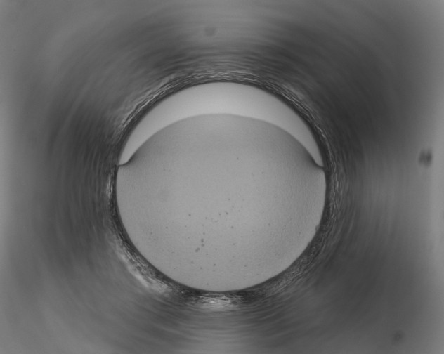 X0000114720405200912021159