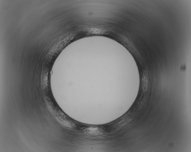 X0000114720406200912021159