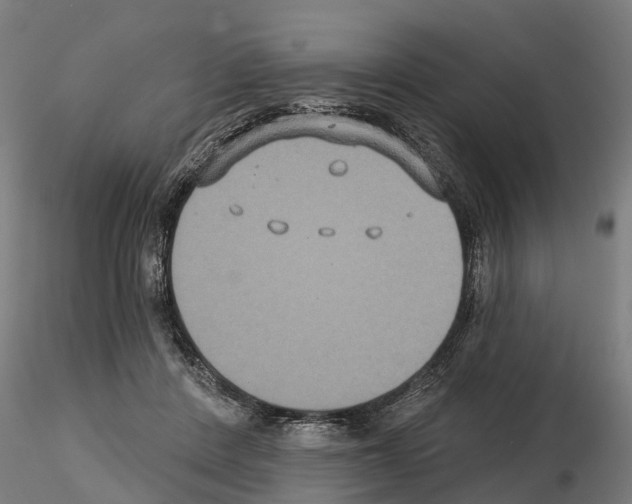 X0000114720408200912021159