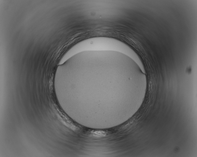 X0000114720409200912021159