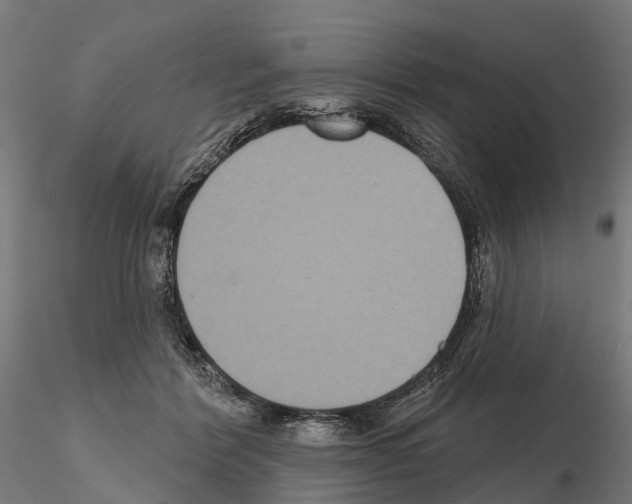 X0000114720412200912021159