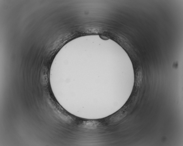 X0000114720414200912021159