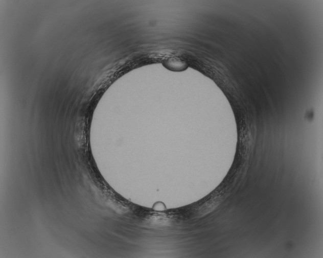 X0000114720416200912021159