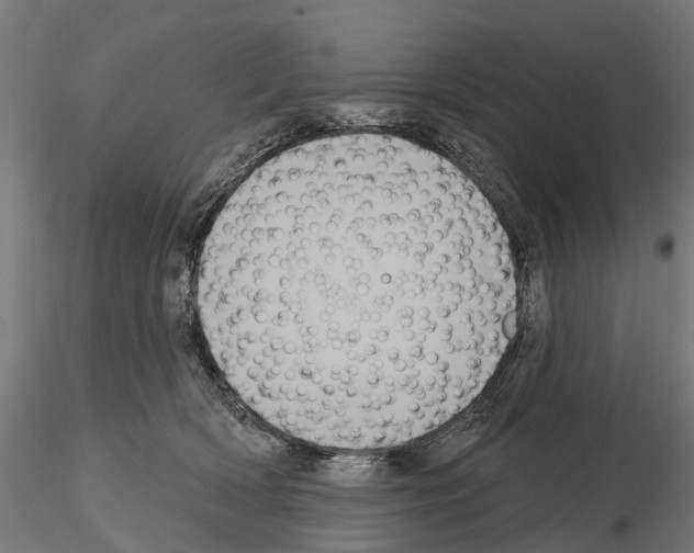 X0000114720418200912021159