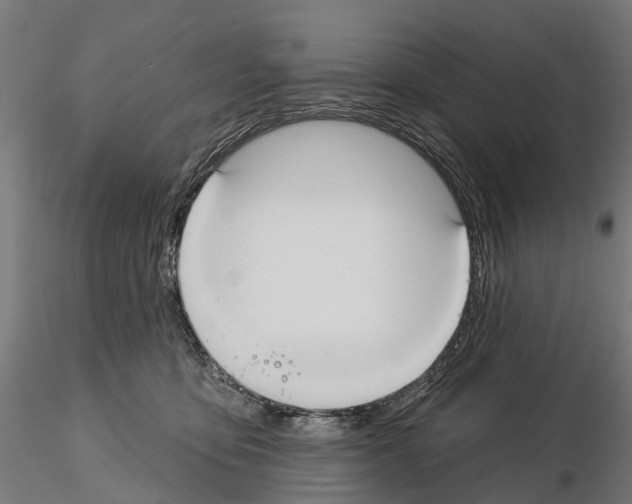 X0000114720419200912021159